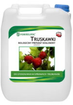 Fortelitic Truskawki 10 litrów