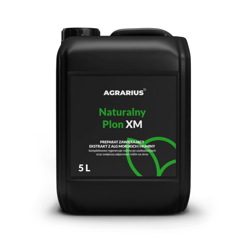 Naturalny Plon XM 5L
