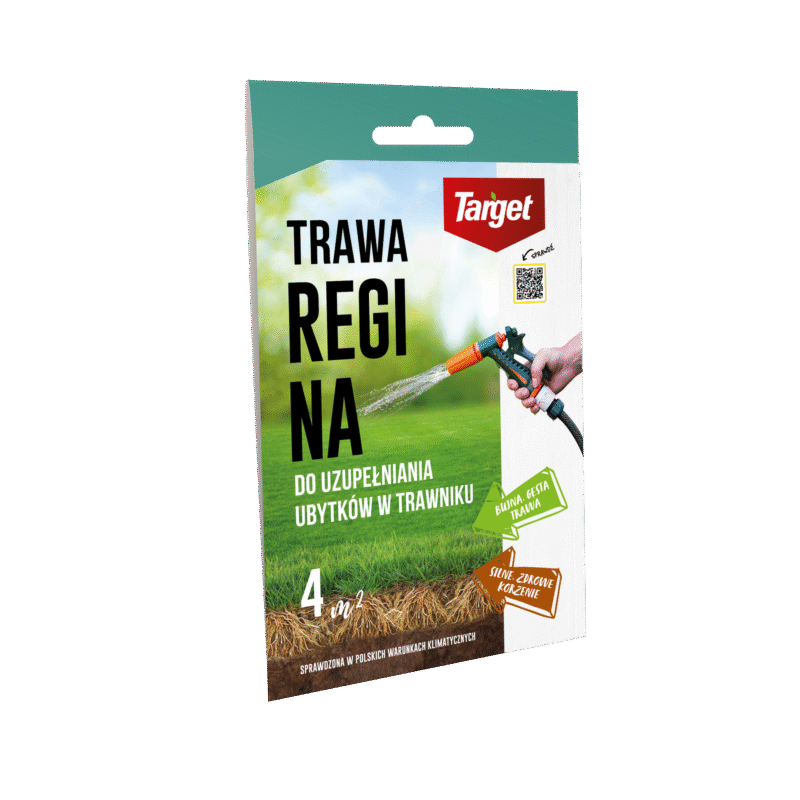 Regina – Trawa Regeneracyjna – Do Uzupełniania Ubytków – 100 g Target